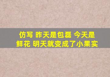 仿写 昨天是包磊 今天是鲜花 明天就变成了小果实